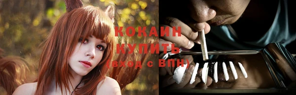 кокс Дмитров