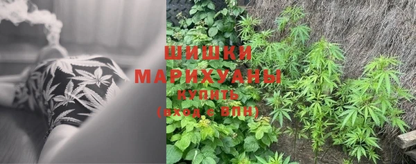 ПСИЛОЦИБИНОВЫЕ ГРИБЫ Валуйки