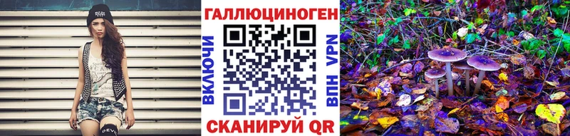дарнет шоп  Дятьково  Галлюциногенные грибы прущие грибы 