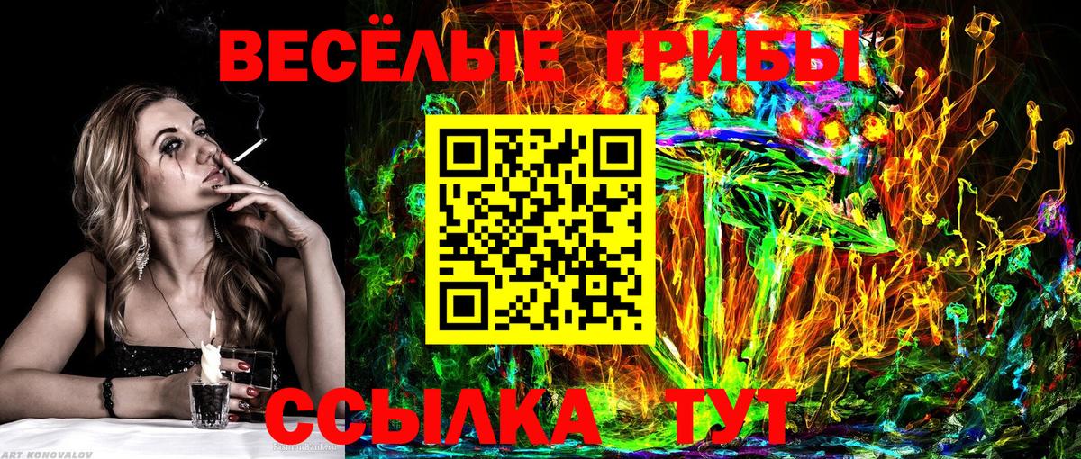 Галлюциногенные грибы Psilocybine cubensis  наркотики  Псилоцибиновые грибы Psilocybe  Дятьково  Вход с VPN 
